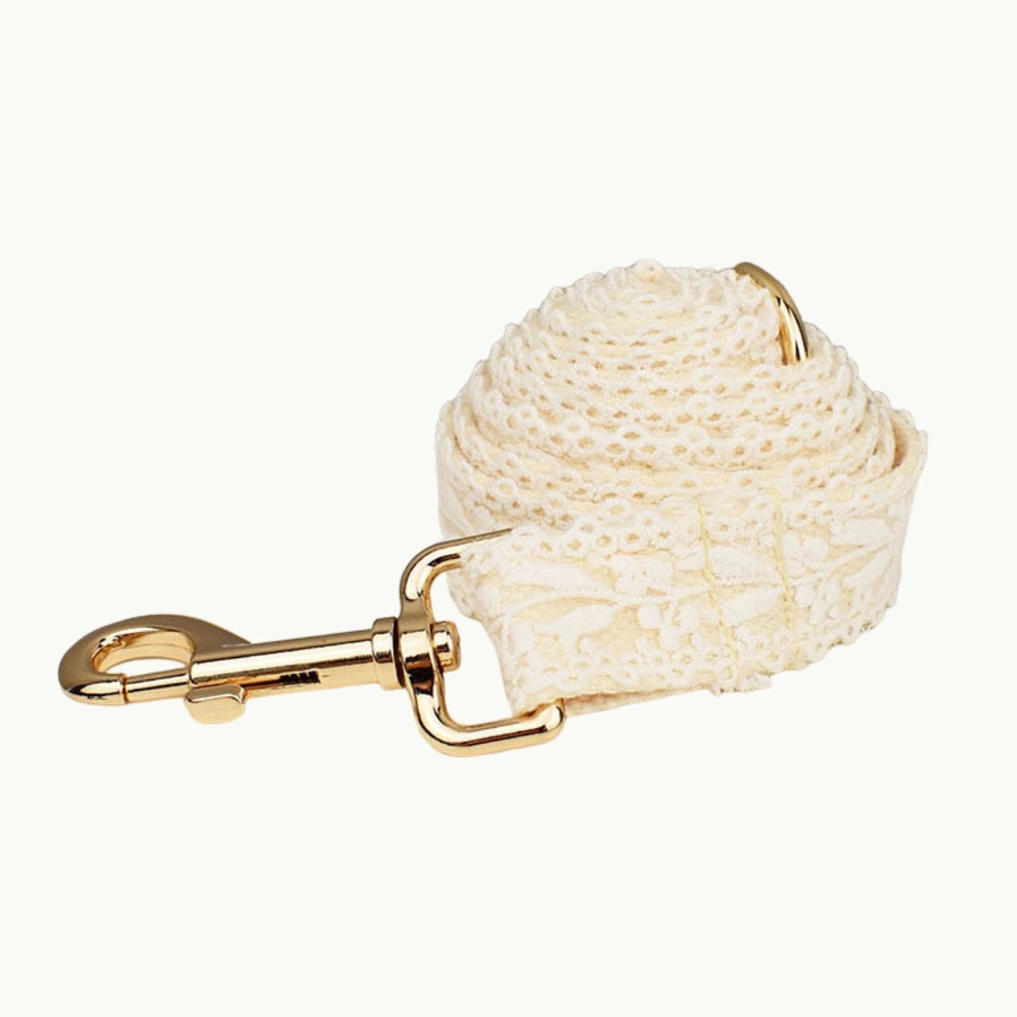 View of dog leash with golden clasp