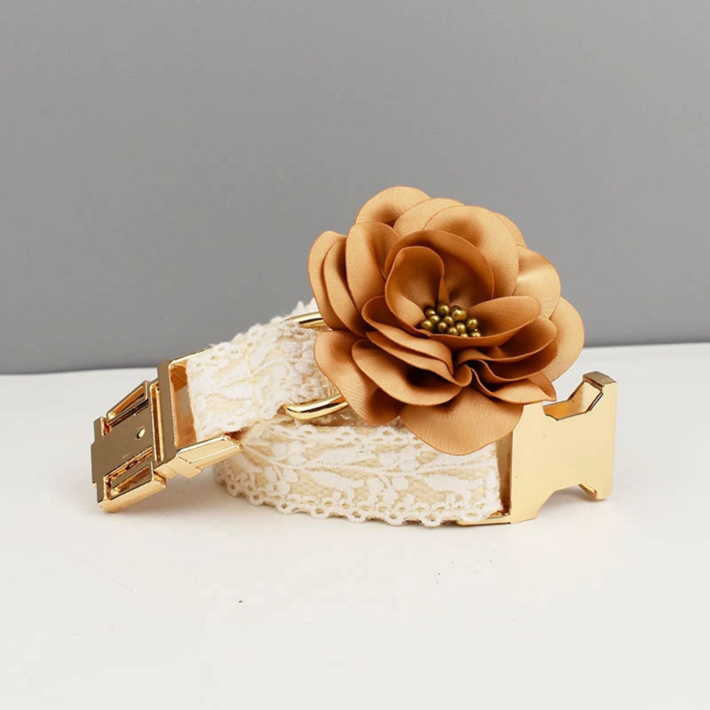 Close-up of lace dog collar with golden buckle and flower detail