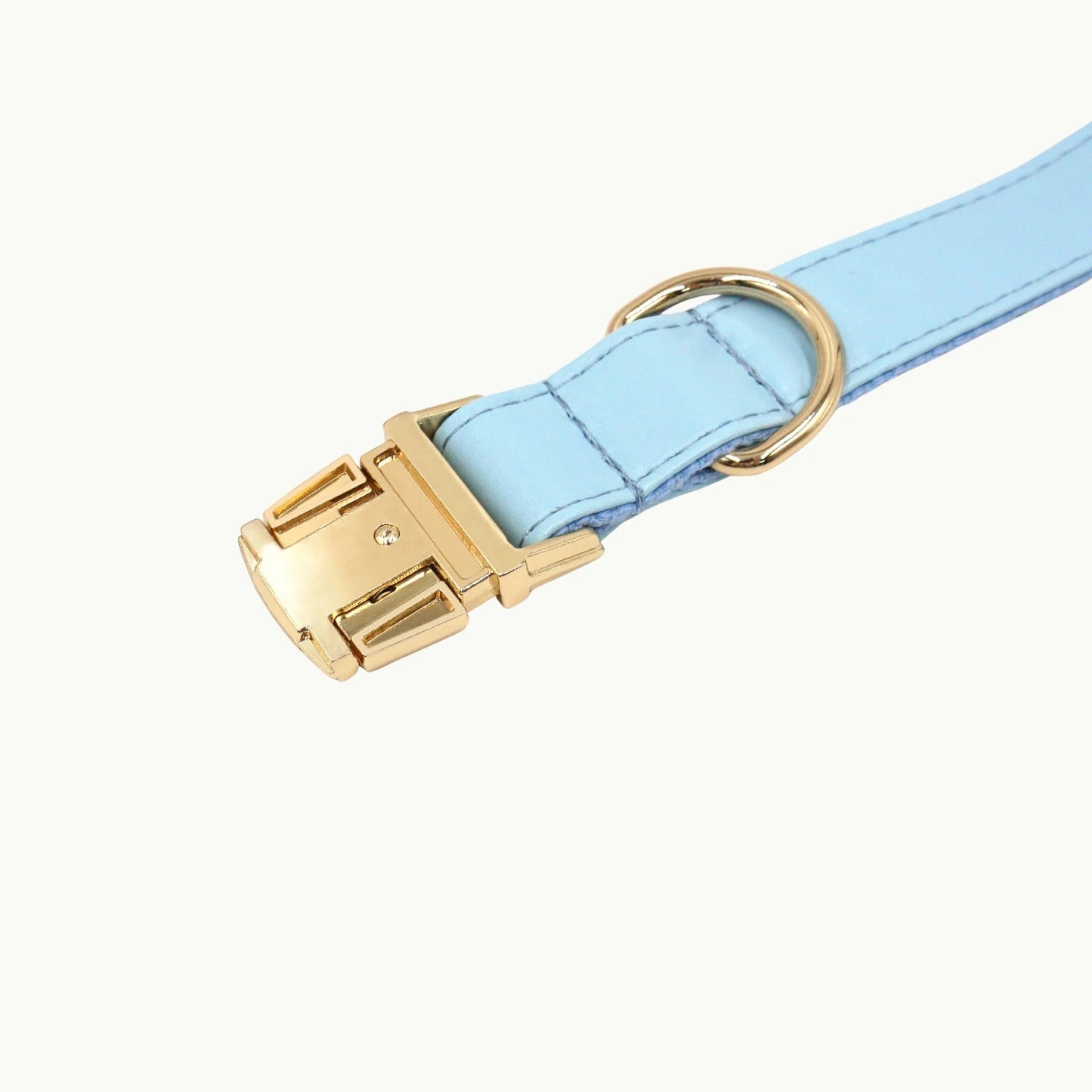 Light blue vivid leather dog collar with gold clasp closeup