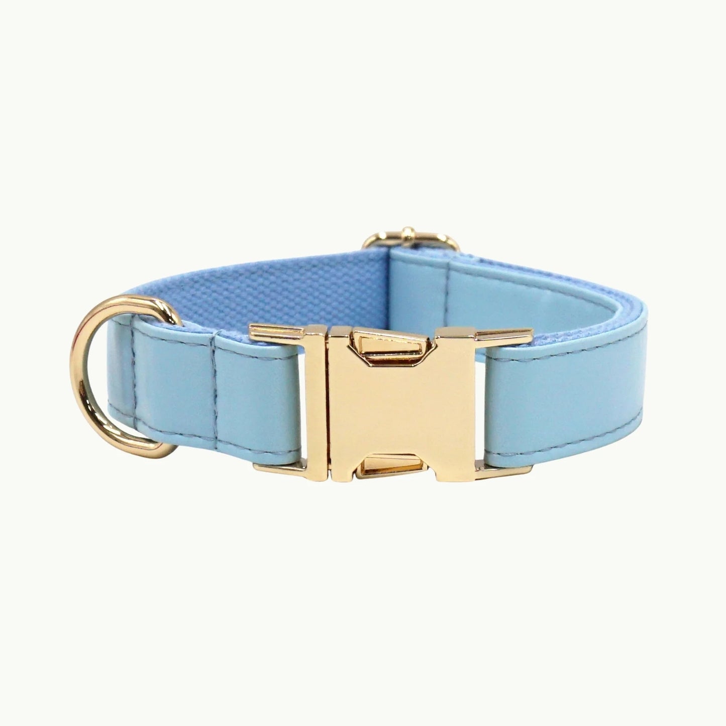 Sky blue vivid leather dog collar with adjustable buckle