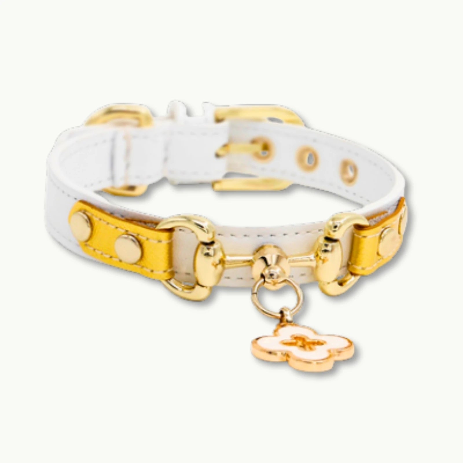 White leather pet collar with sparkling rhinestones, luxury accessory for pets