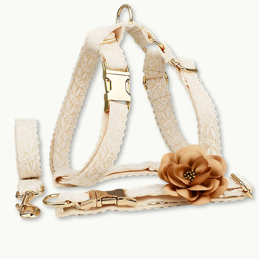 Elegant lace dog harness with golden buckle and flower accessory – Royal Lace Ensemble