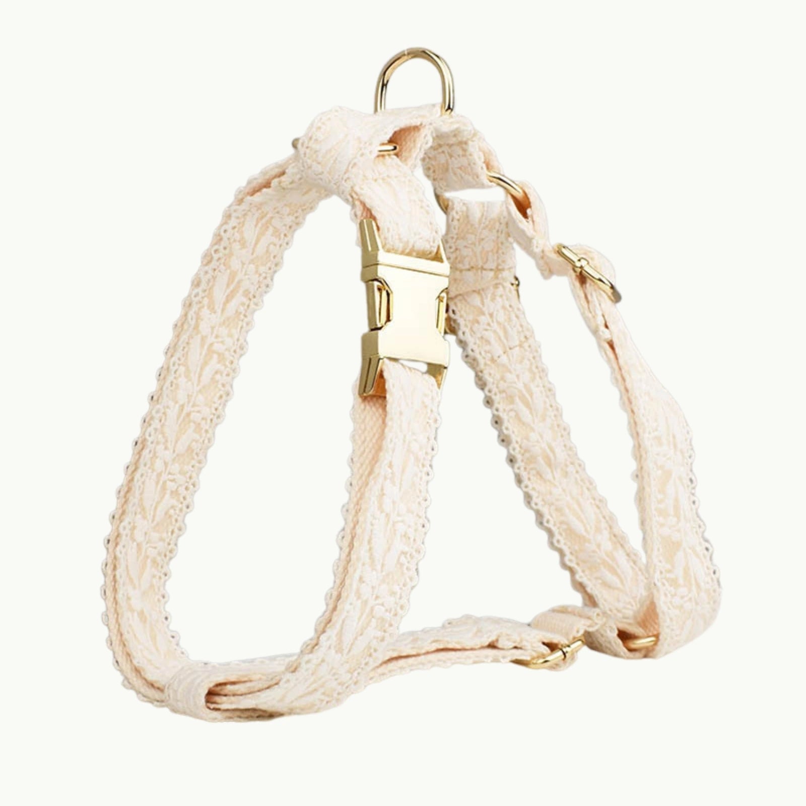 Back view of lace dog harness with golden hardware