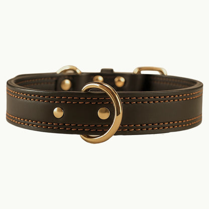 Dark brown full-grain leather dog collar with gold buckle and reinforced stitching