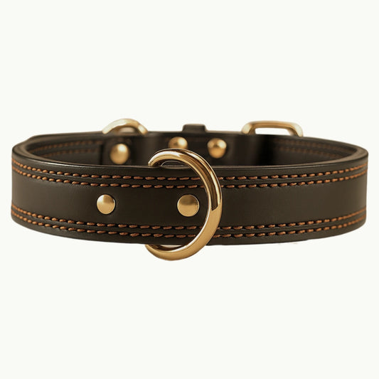 Dark brown full-grain leather dog collar with gold buckle and reinforced stitching