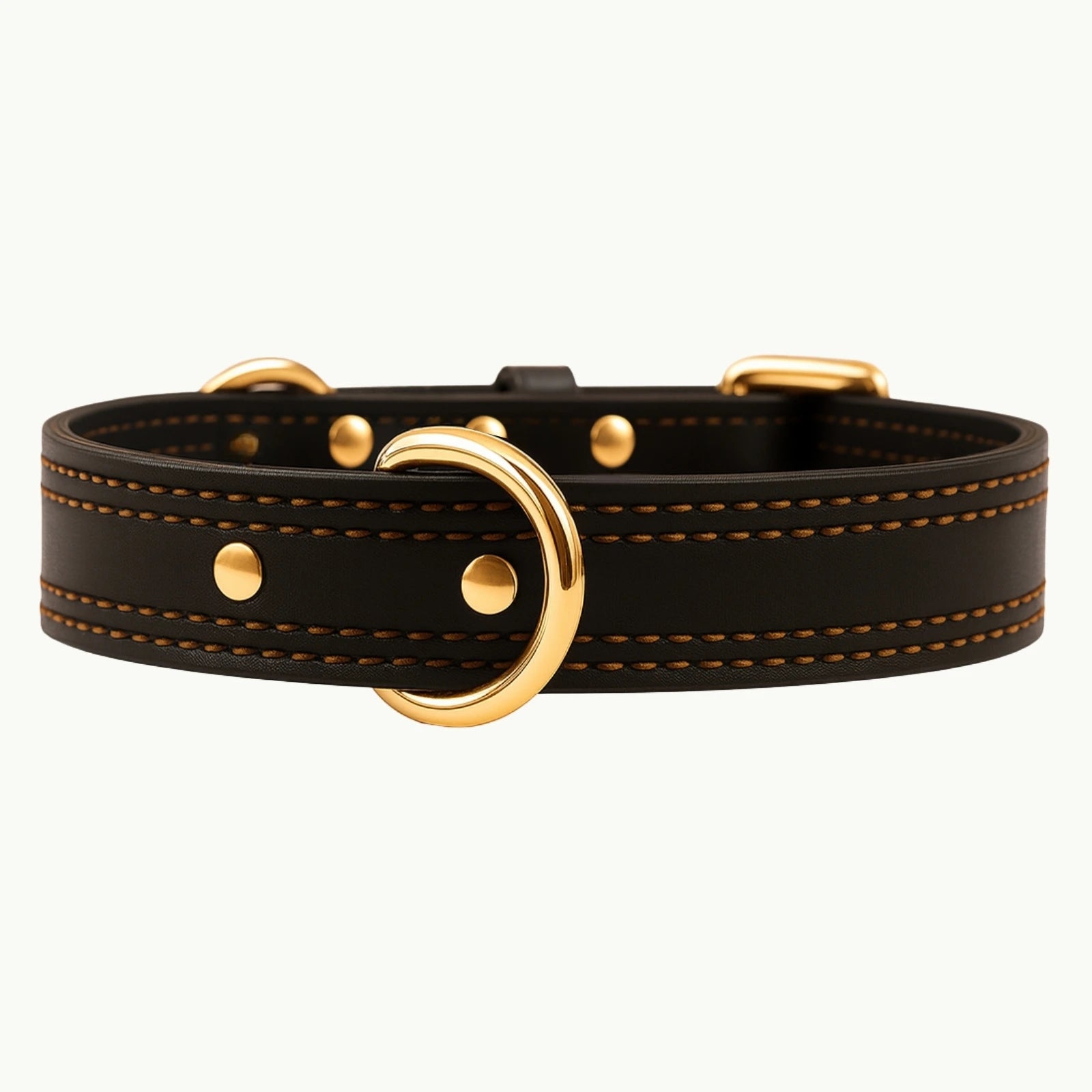 Classic Black Titan leather dog collar with gold buckle and durable D-ring
