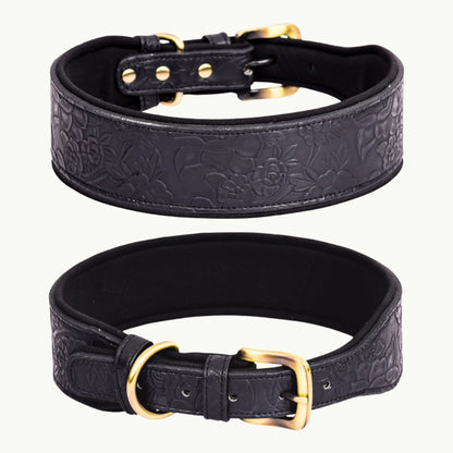 Black embossed dog collar with durable metal buckle