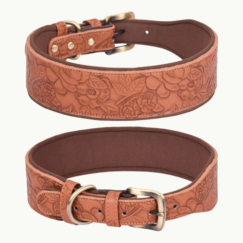 Brown embossed dog collar made from space cotton with floral design
