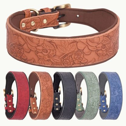Set of embossed space cotton dog collars in multiple colors