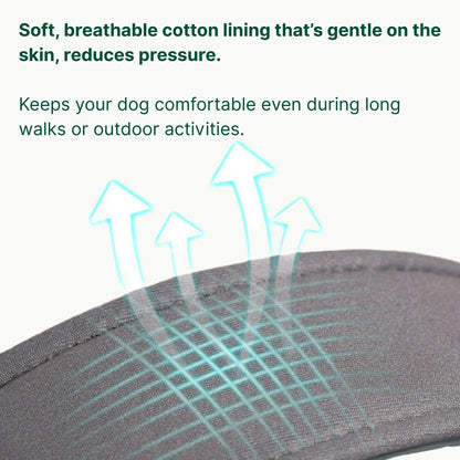 Soft breathable lining detail of space cotton dog collar