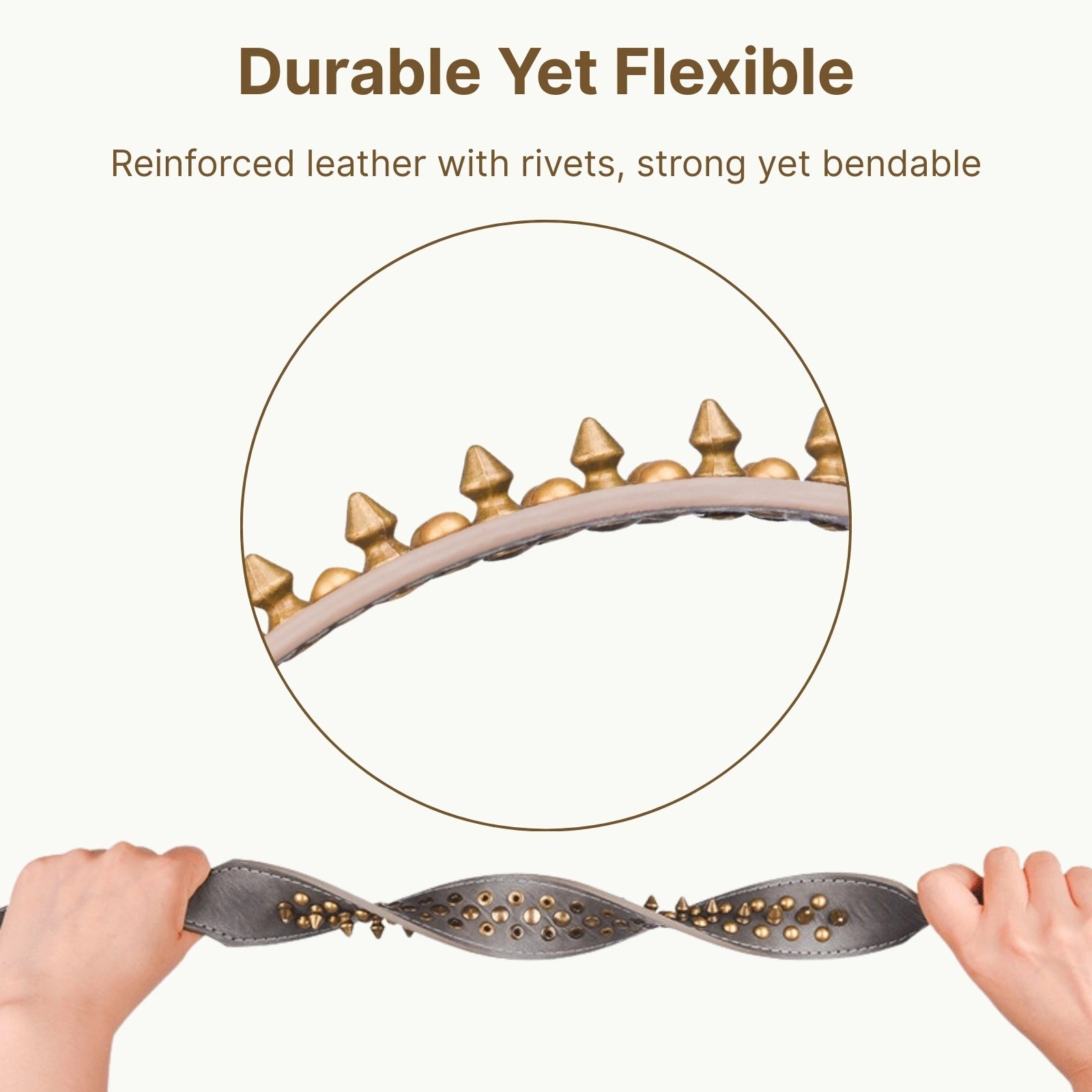 Durable yet flexible leather collar with protective rivets