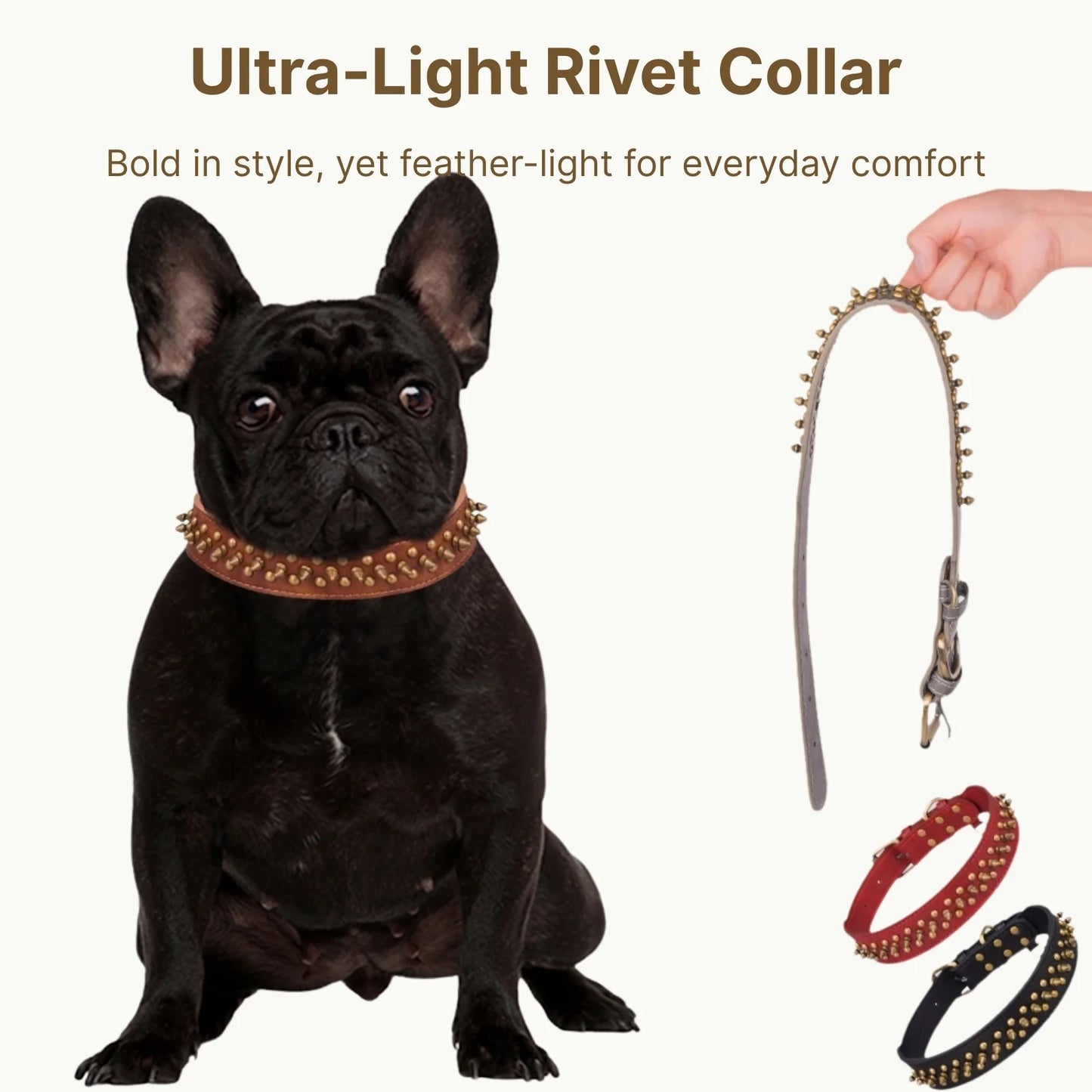 Ultra-light rivet collar worn by French Bulldog