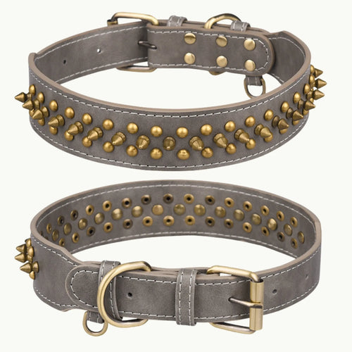 Gray gradient leather dog collar with gold rivets and buckle