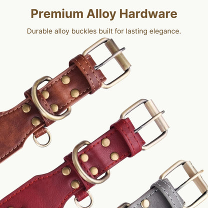 Premium alloy hardware details on RegalHue gradient dog collar