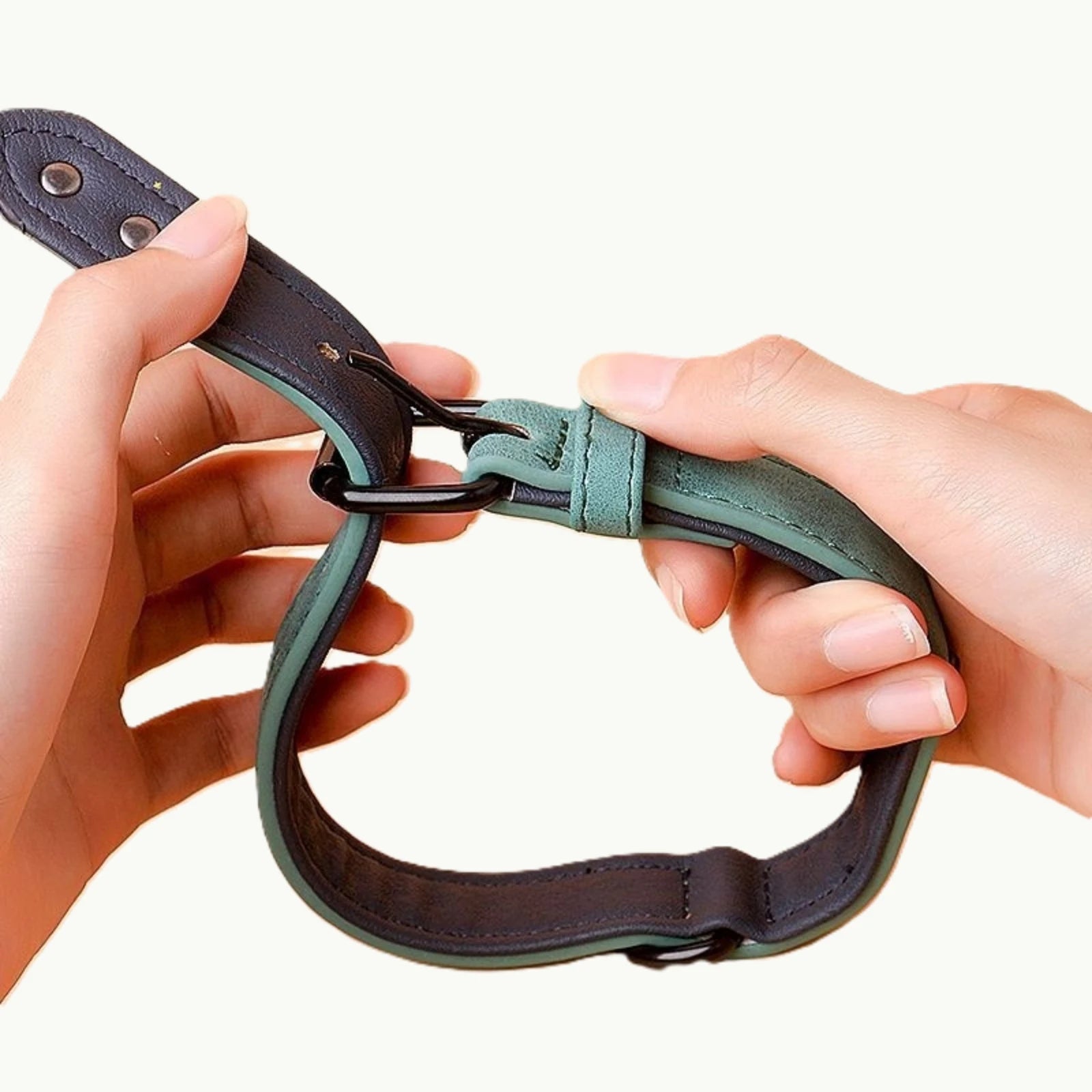 Close-up of LuxPaw dual-layer collar buckle being fastened