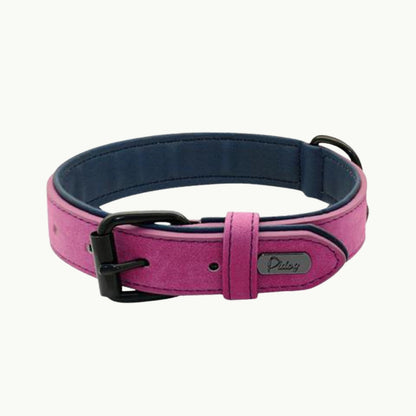 Royal Purple LuxPaw dual-layer dog collar with microfiber lining