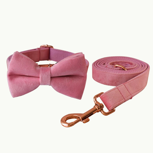 Blush Luxe bow set with velvet dog collar, leash, and bow tie