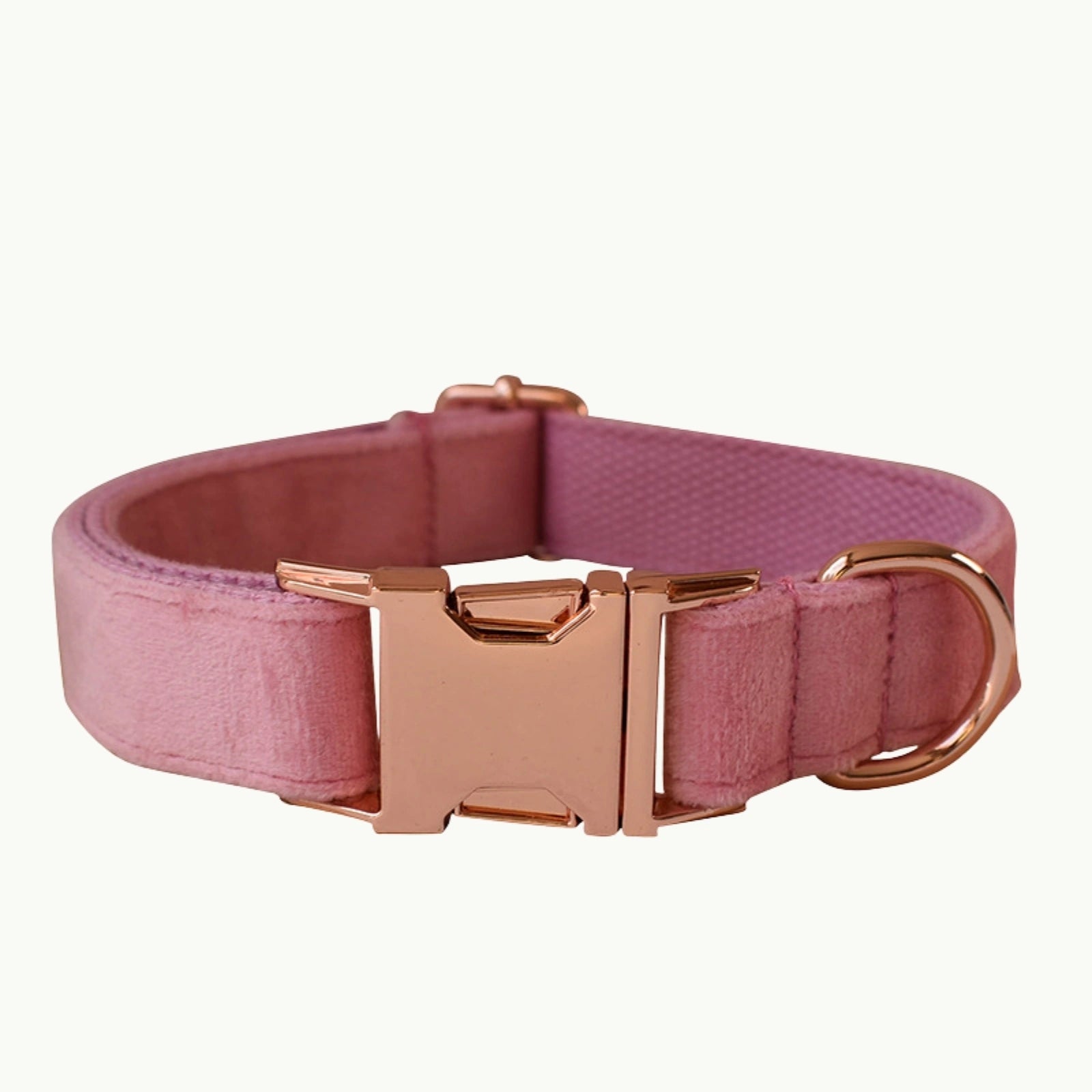 Close-up of blush pink velvet dog collar with gold buckle