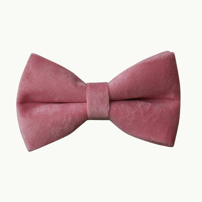 Elegant blush velvet dog bow tie accessory