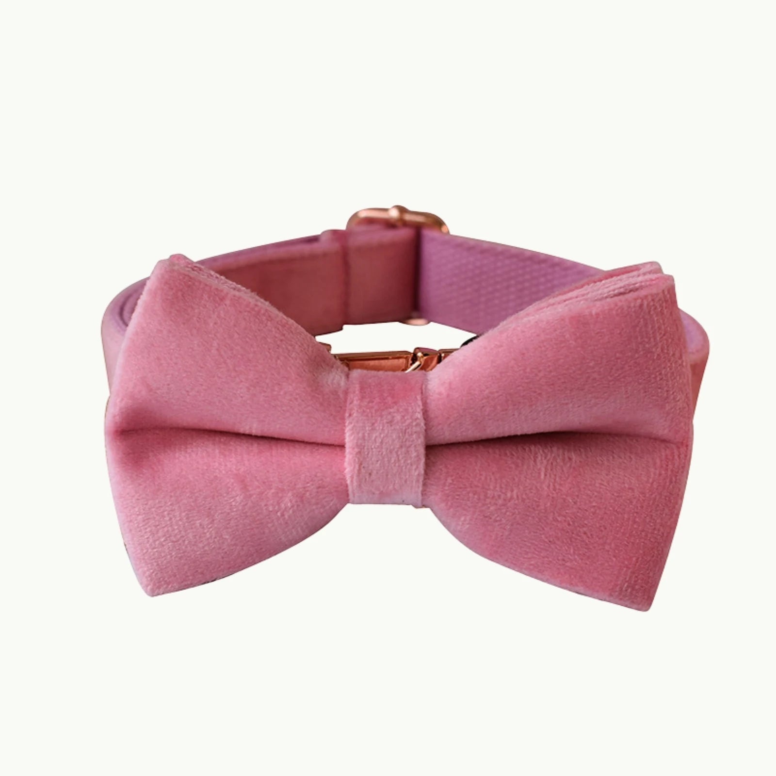 Velvet bow tie dog collar set in blush pink color