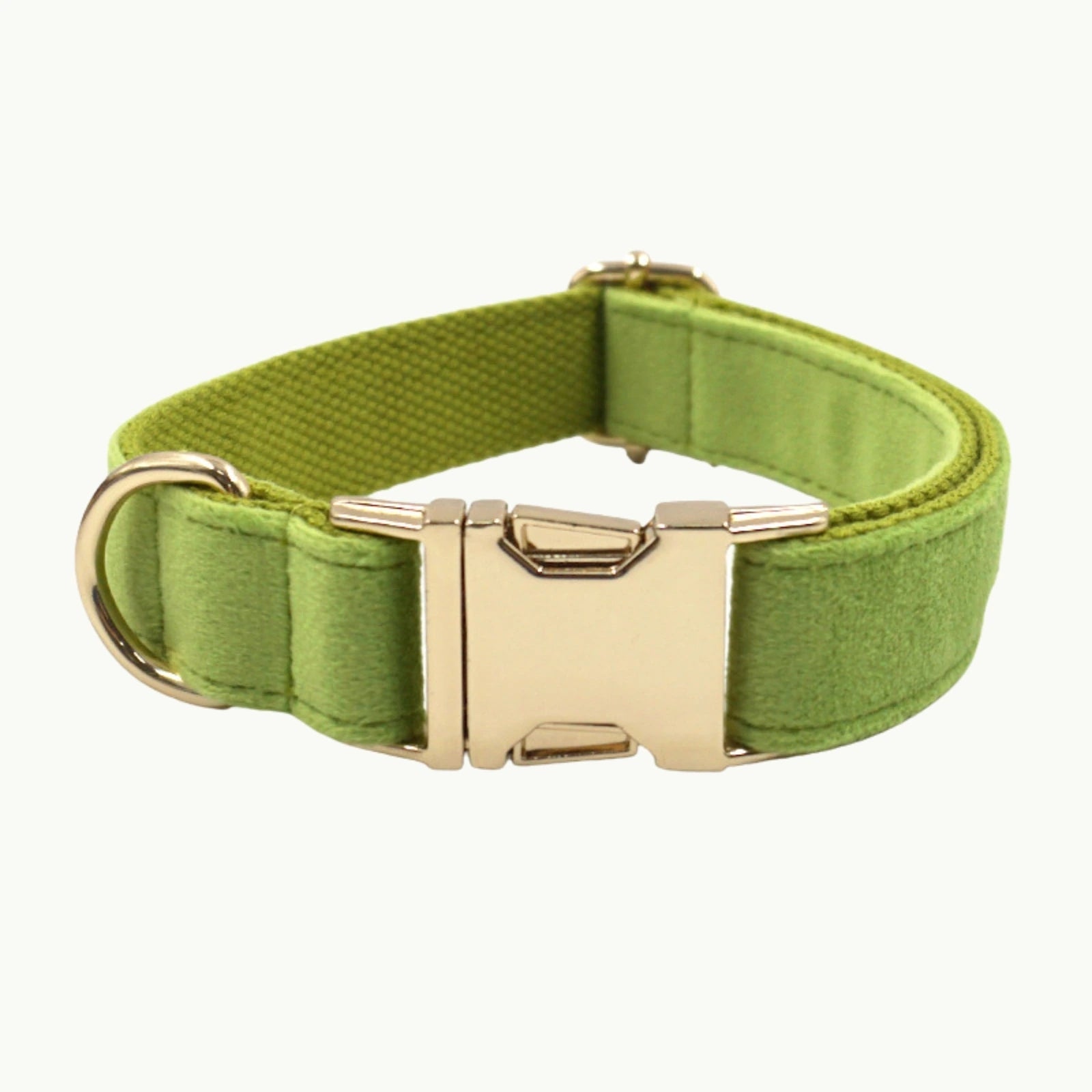 Matcha green velvet dog collar with gold buckle