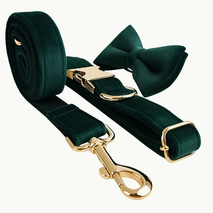 Full Emerald Luxe dog collar and leash set with gold hardware
