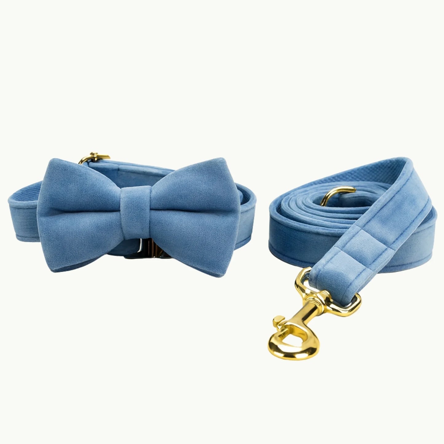 Sky blue velvet dog collar with matching bow tie and gold buckle