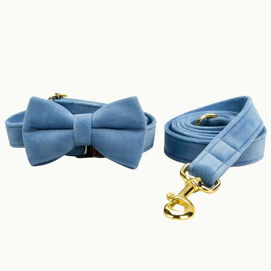 Sky blue velvet dog collar with matching bow tie and gold buckle