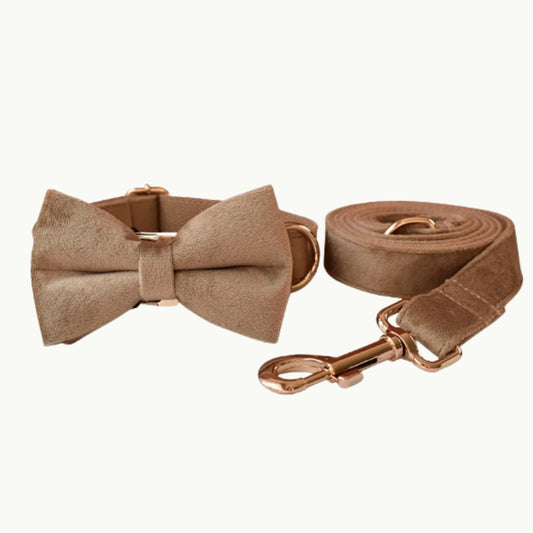 Mocha Luxe bow set with brown dog collar, leash, and bow tie