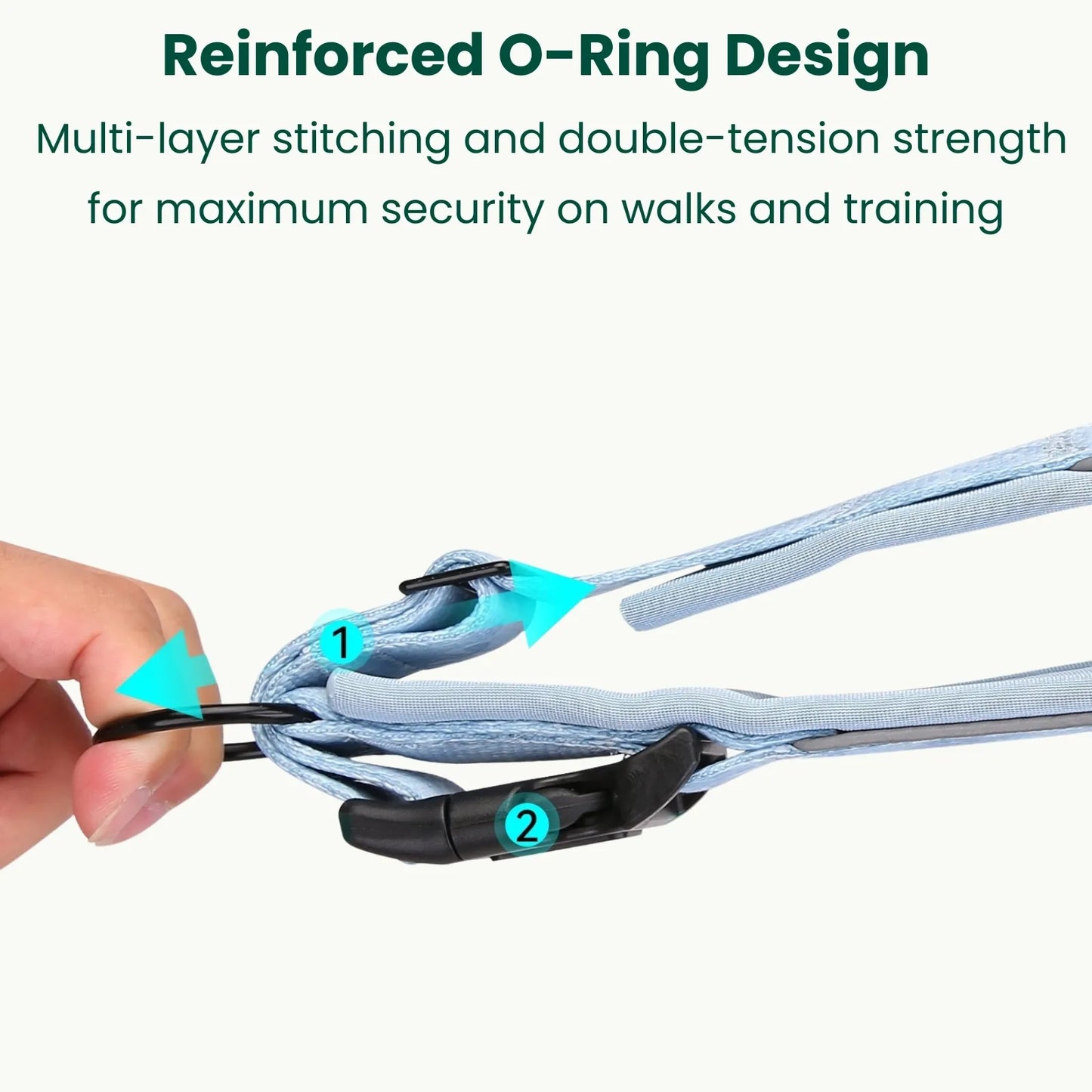 Reinforced O-ring design on PawSecure premium dog collar