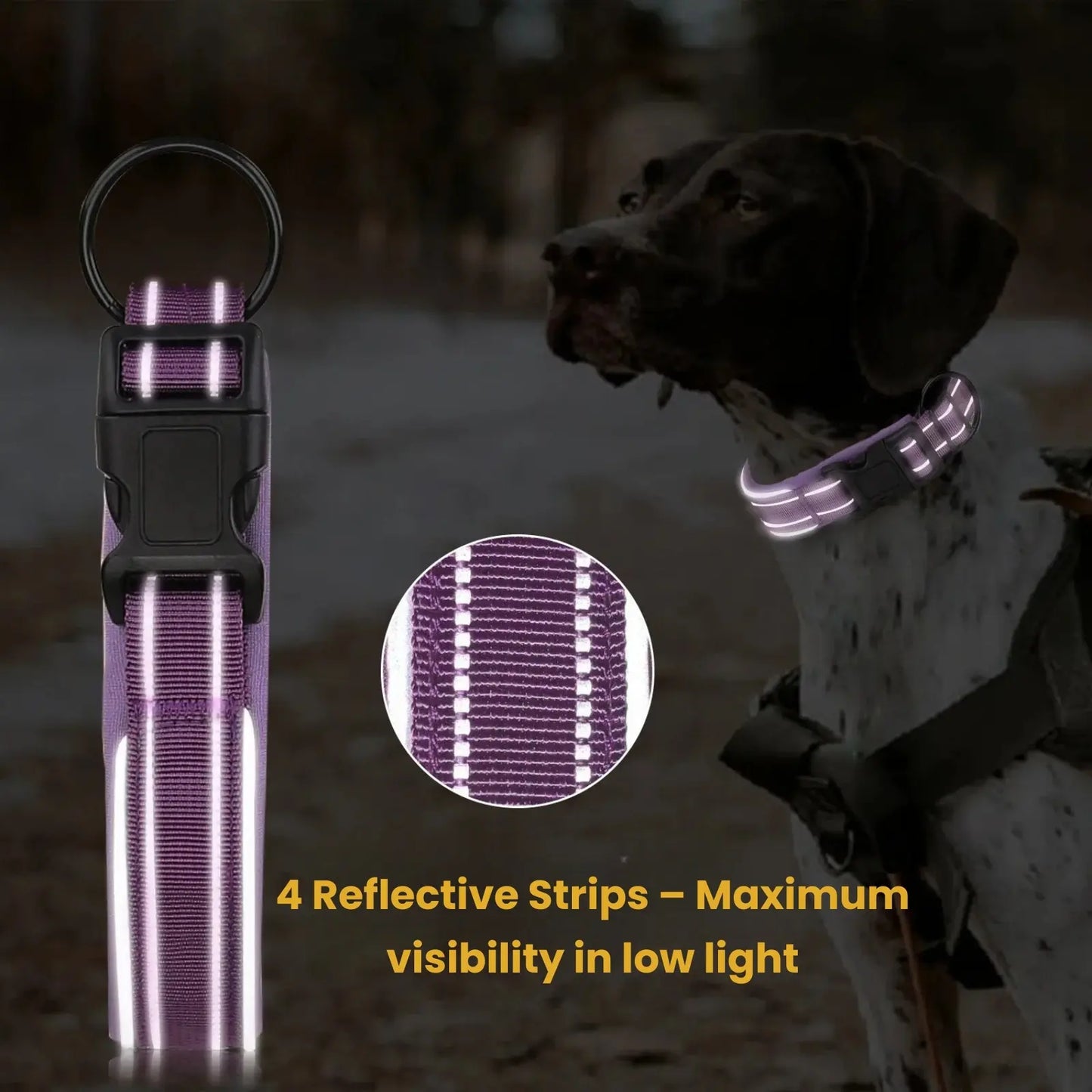 Reflective stripe glowing at night on PawSecure Solid GPS collar