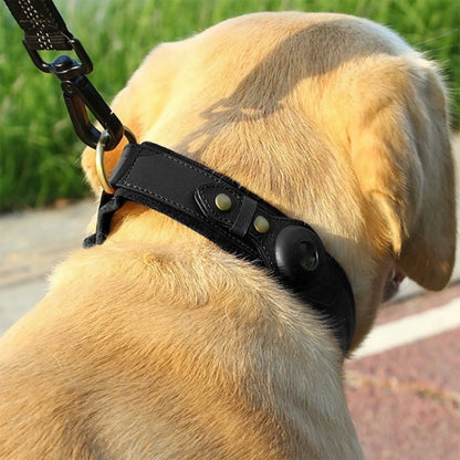 Dog wearing green leather collar outdoors with gold hardware