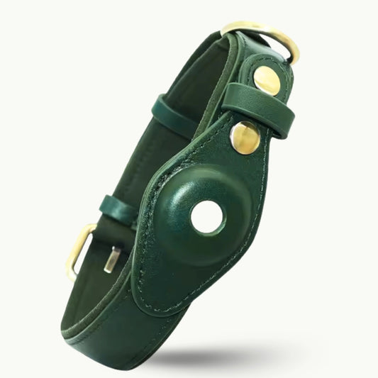Dark green leather dog collar with gold buckle and GPS slot