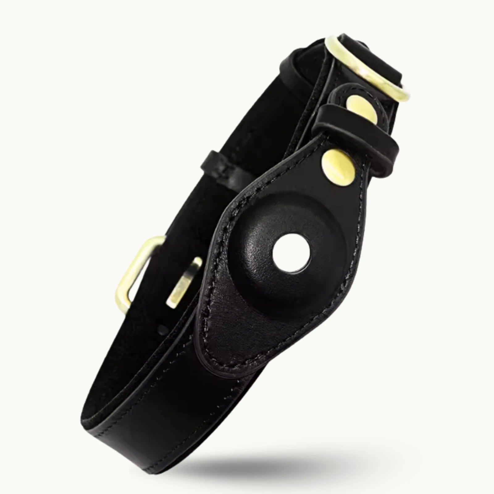 Black leather dog collar with GPS tracking hole and strong gold accents