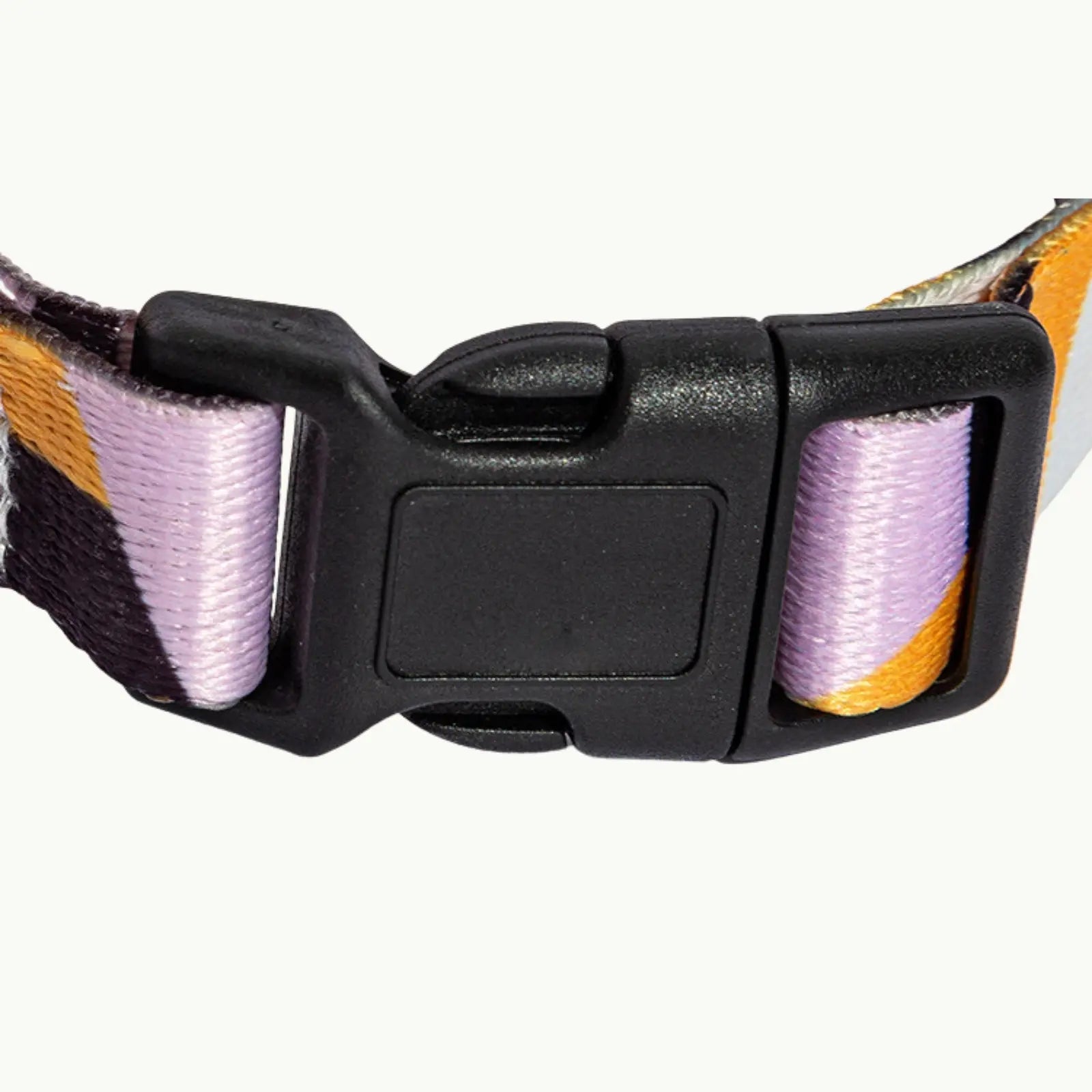 Close-up of strong plastic buckle on dog collar