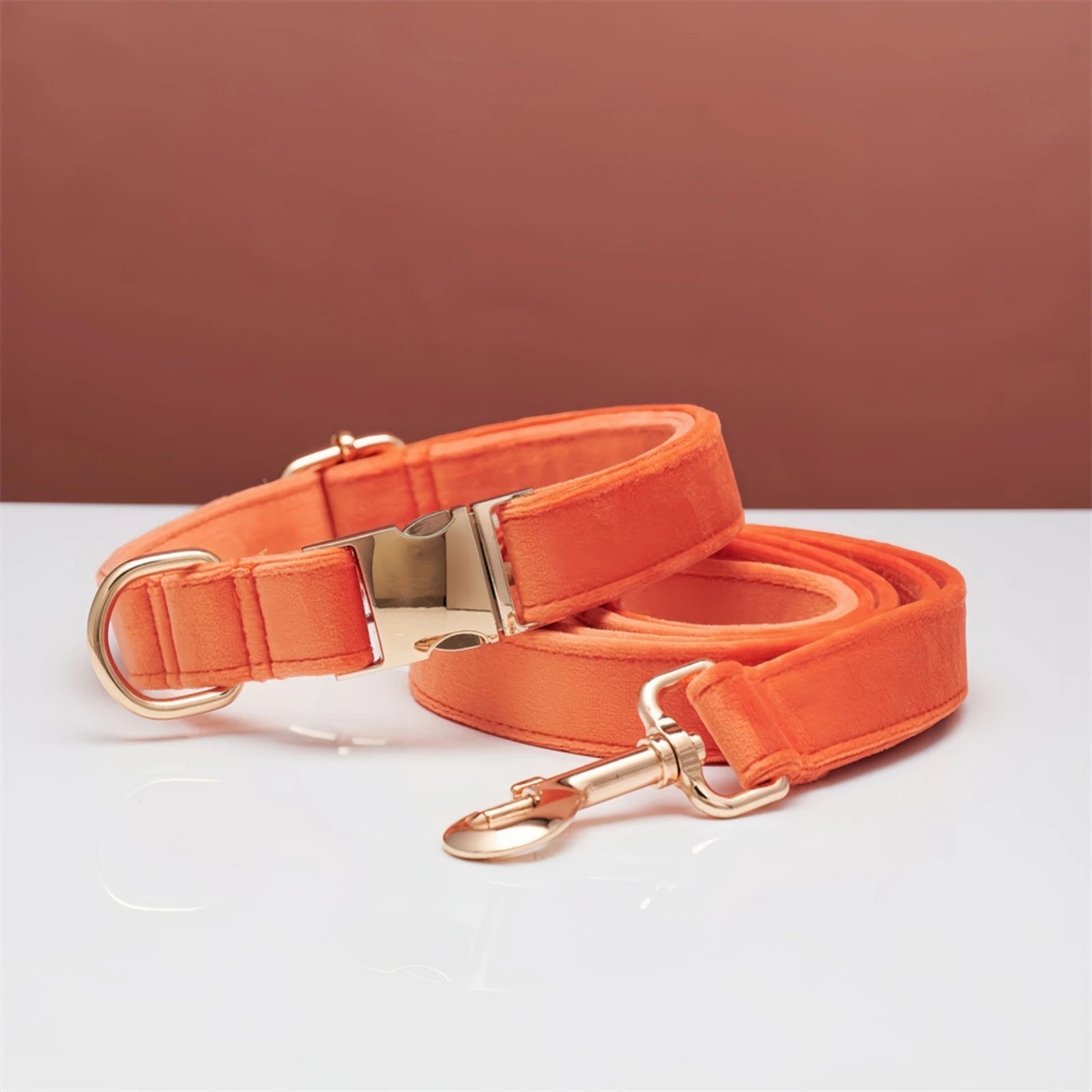 Coral dog collar with matching leash