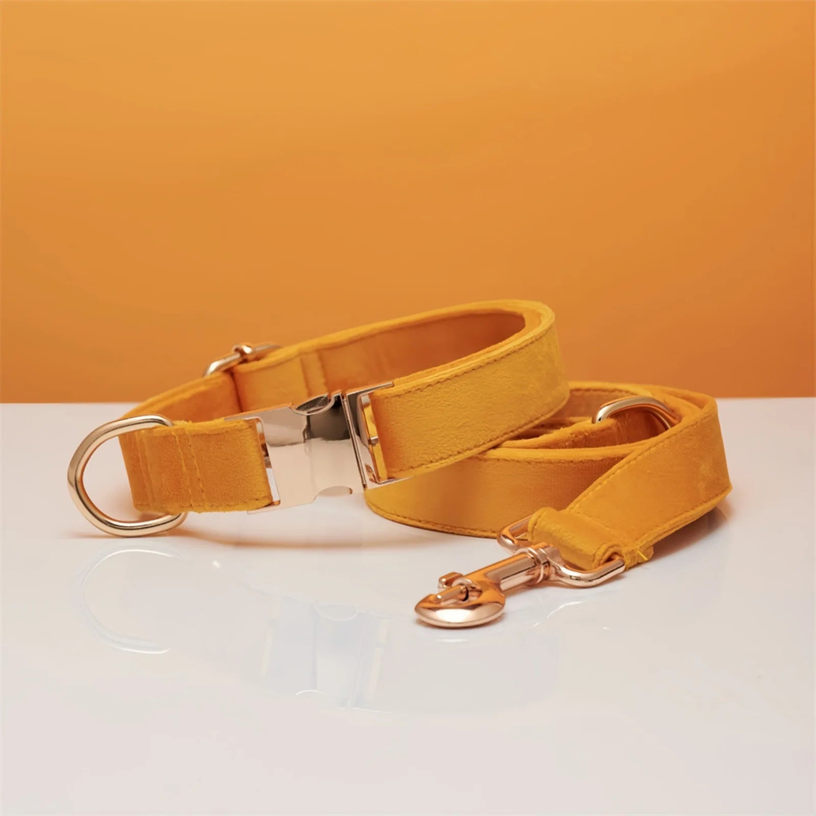 Yellow dog collar with matching leash