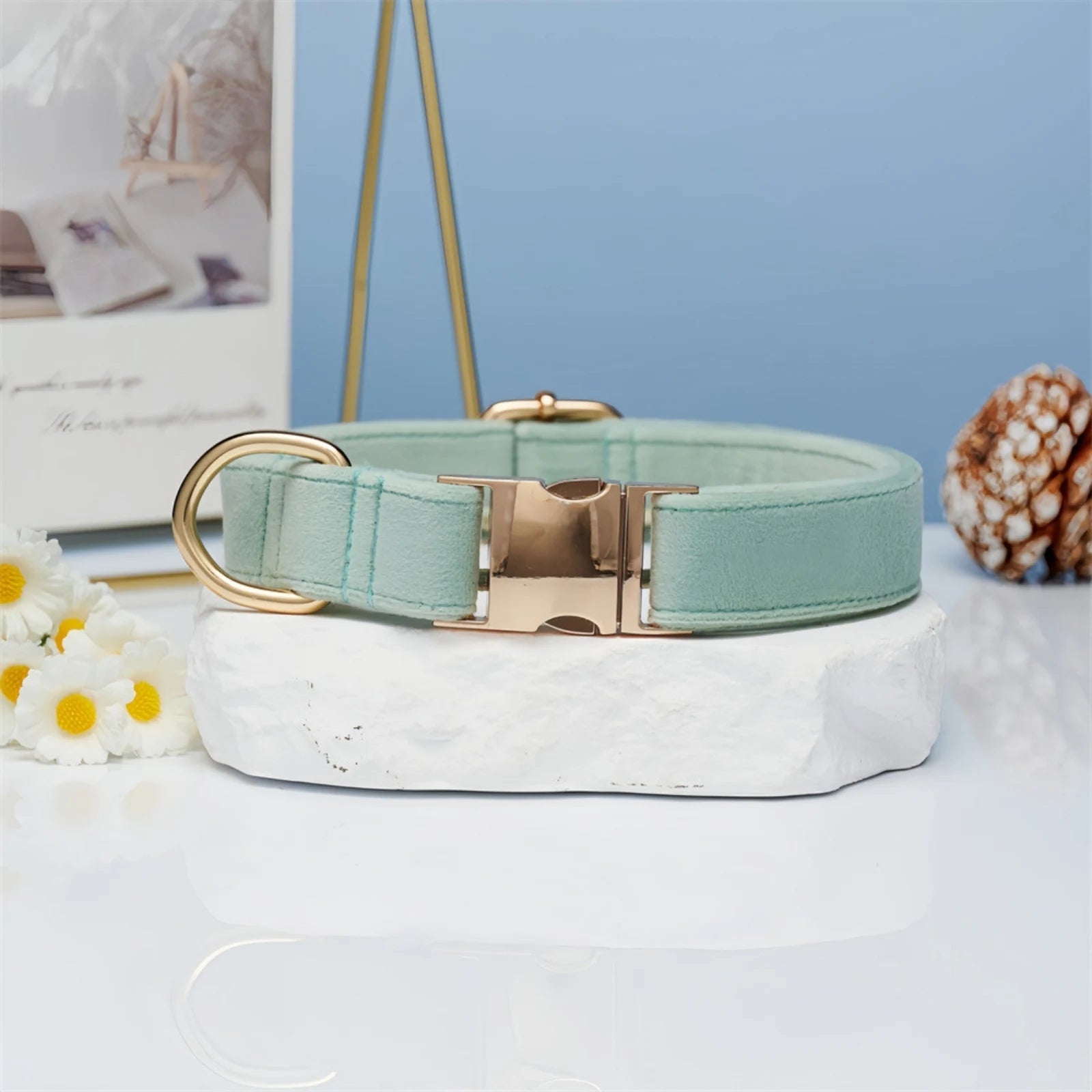 Light water green pastel dog collar with gold buckle