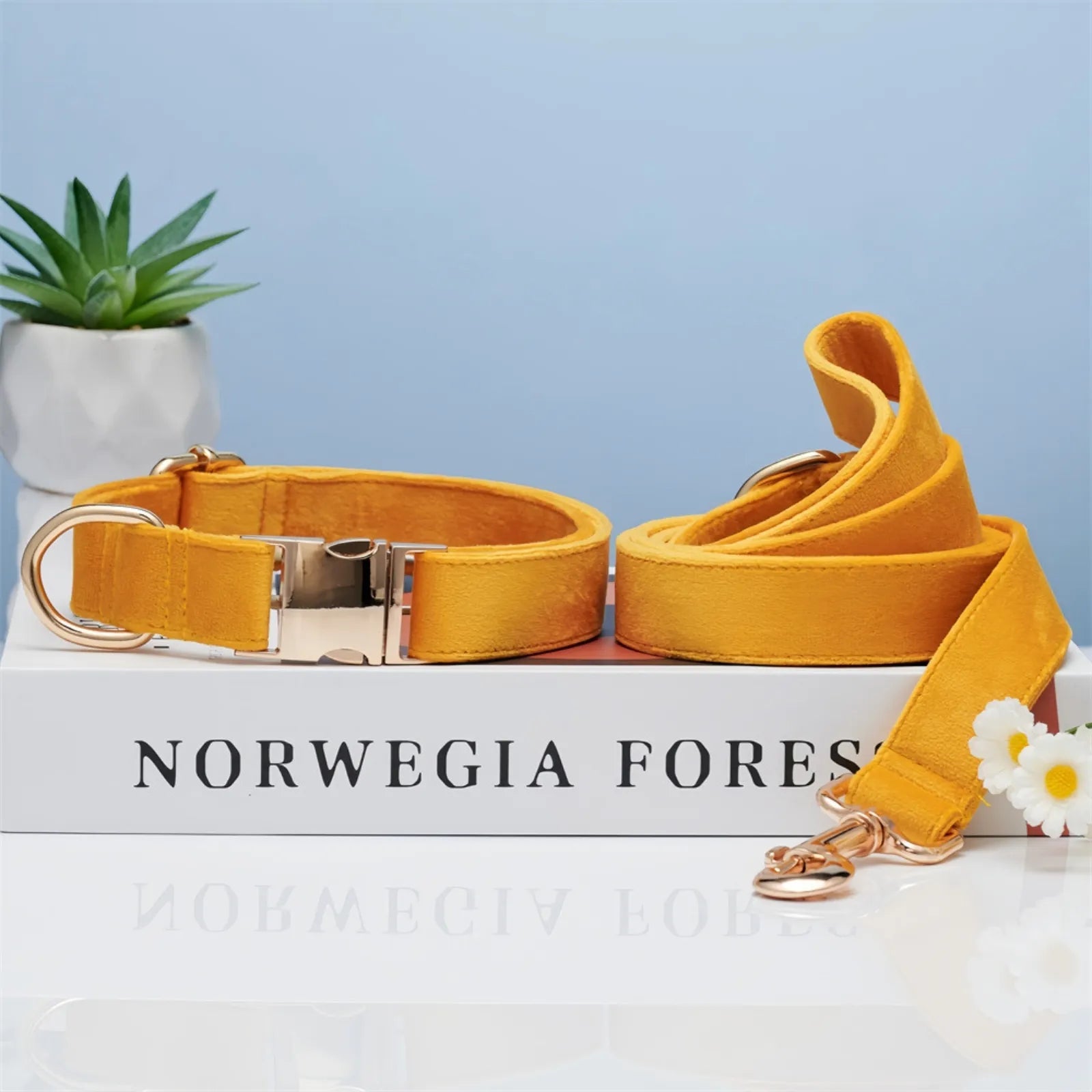 Corn yellow pastel dog collar and lead set