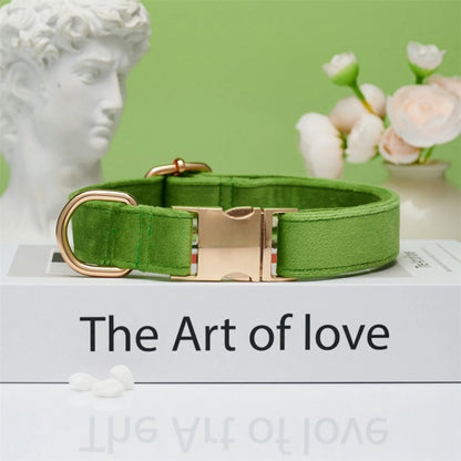 Apple green pastel dog collar