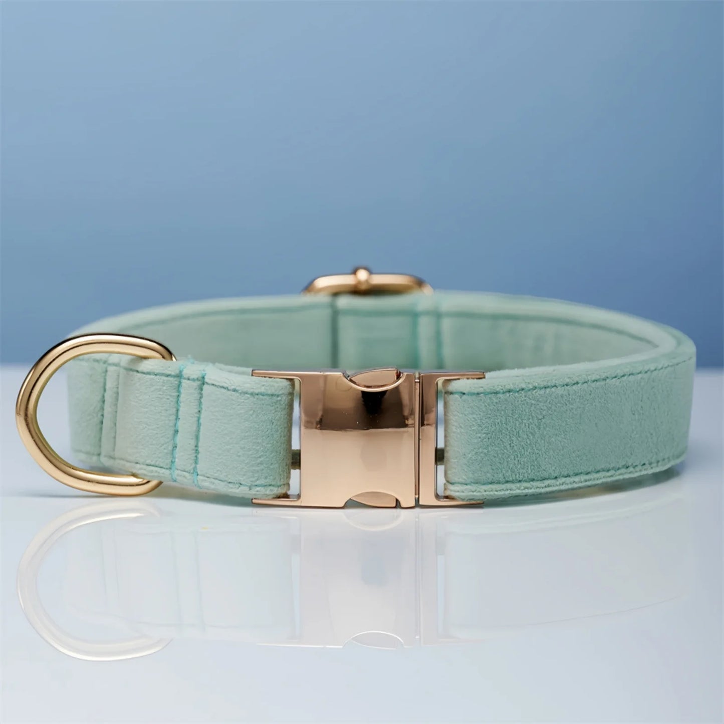 Stylish pastel blue color dog collar displayed on table