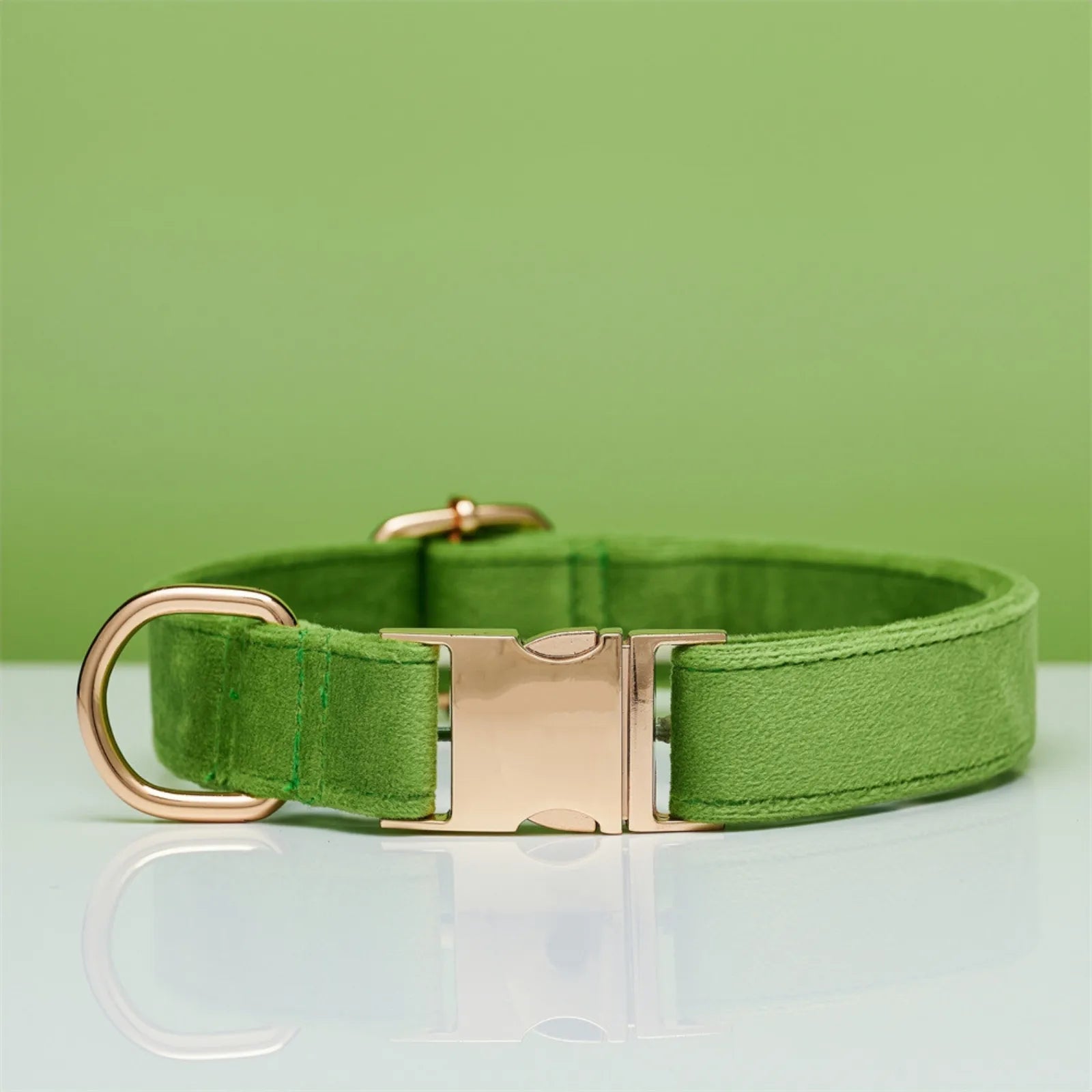 Stylish pastel green color dog collar displayed on table