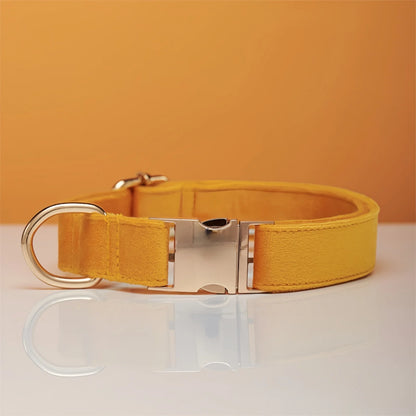Stylish pastel yellow color dog collar displayed on table