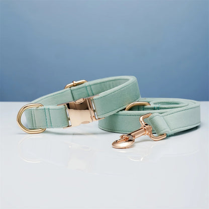 Aqua blue dog collar with matching leash