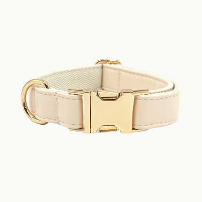 Cream white vivid leather dog collar with adjustable buckle