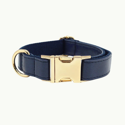 Dark Blue vivid leather dog collar with adjustable buckle