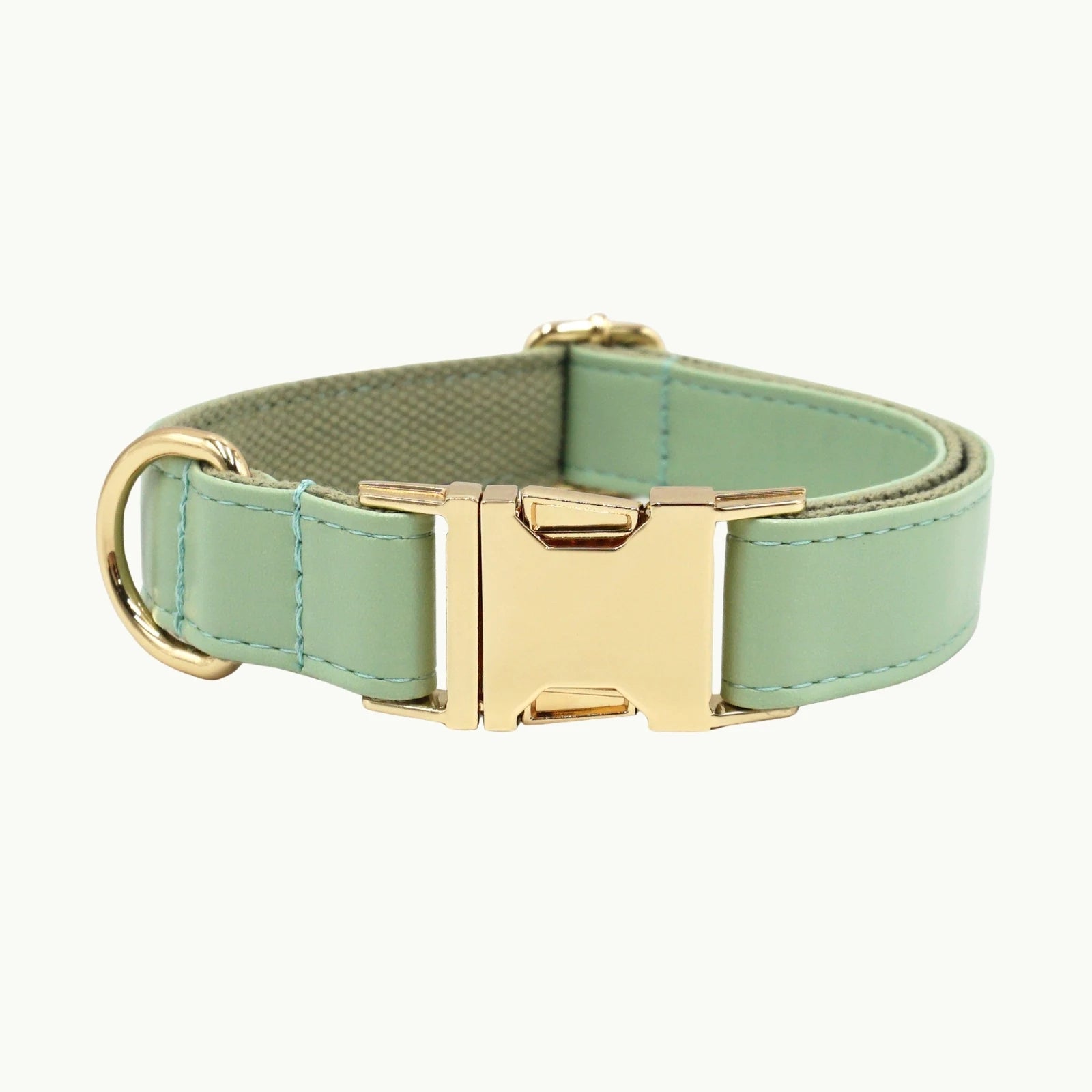 Mint vivid leather dog collar with adjustable buckle
