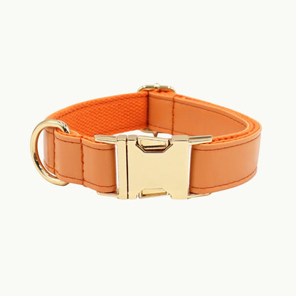 Orange vivid leather dog collar with adjustable buckle