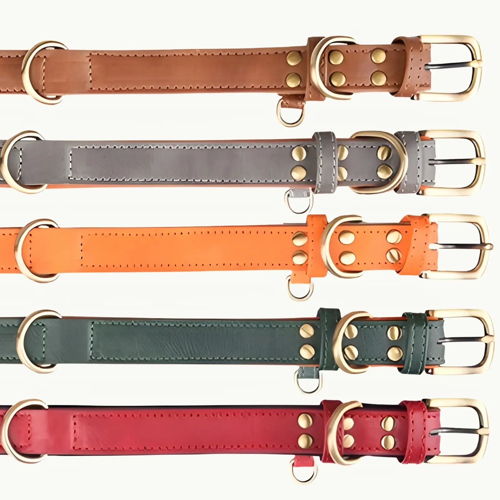 Classic Faux Leather Dog Collars in Chestnut Brown, Steel Grey, Sunset Orange, Forest Green, and Crimson Red with durable bronze hardware