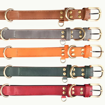 Classic Faux Leather Dog Collars in Chestnut Brown, Steel Grey, Sunset Orange, Forest Green, and Crimson Red with durable bronze hardware